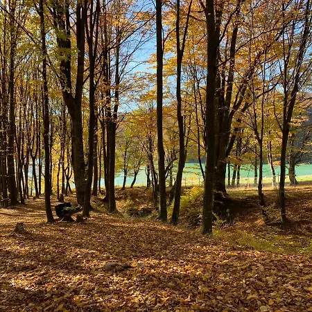 Luxury House & Glamping Teşila