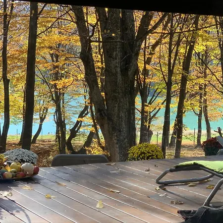Luxury House & Glamping *