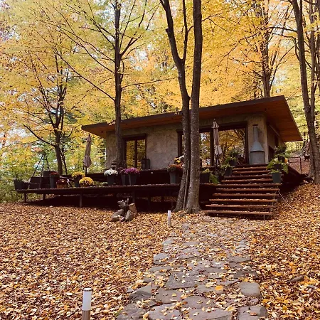 Luxury House & Glamping
