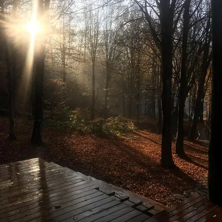 Ferienhaus Luxury House & Glamping
